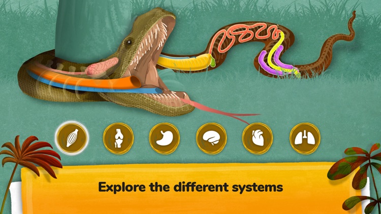 The Animals - Games For Kids screenshot-7