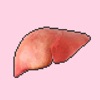 私の肝臓ちゃん - iPhoneアプリ