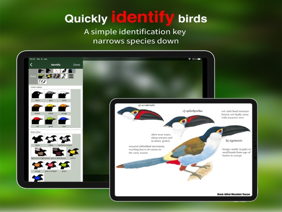 All Birds Colombia field guide iPad app afbeelding 2