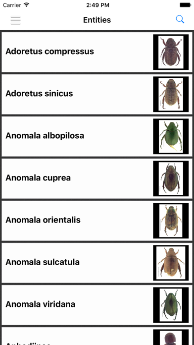 Hawaiian Scarab ID Screenshot