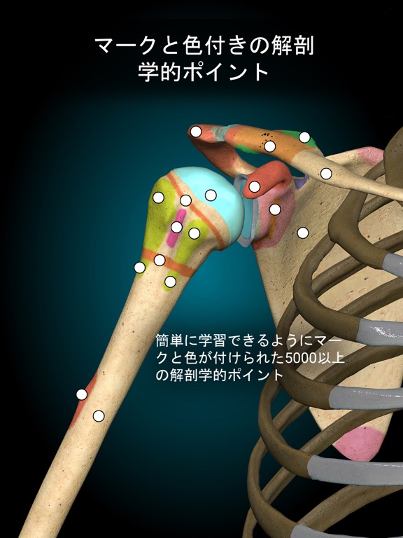 Anatomy Learning - 3Dアナトミーのおすすめ画像3