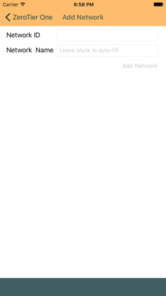ZeroTier One screenshot 3