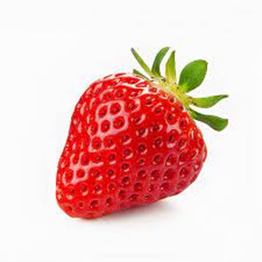 אביב בן עמי - אדון תות