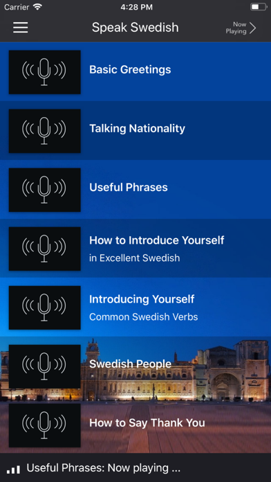 Fast - Speak Swedish Screenshot