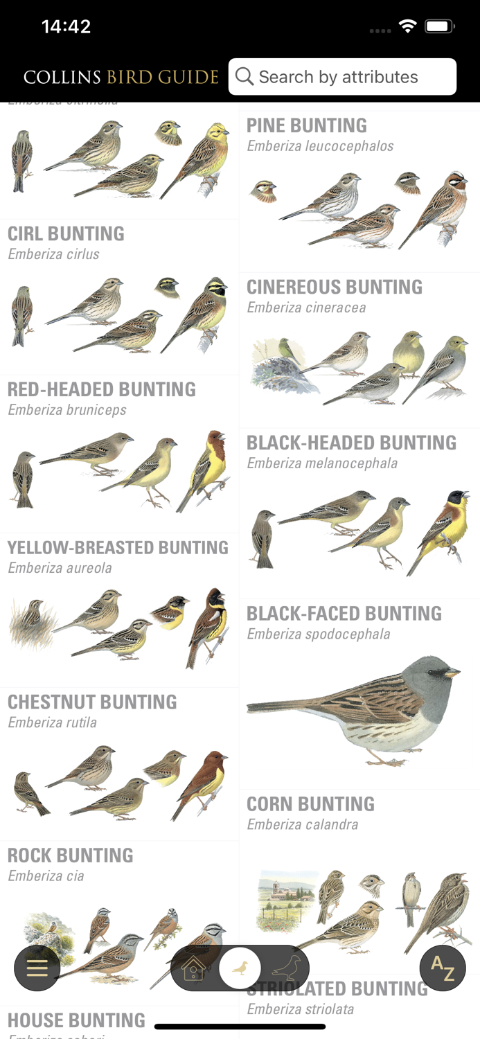 Collins Bird Guide