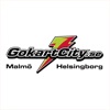 GoKartCity icon