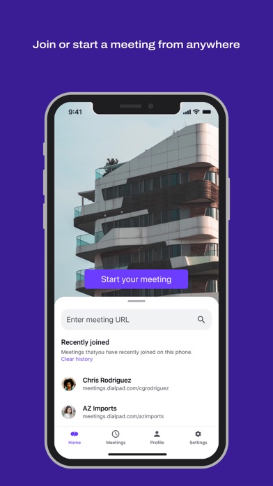 Dialpad Meetings Screenshot