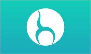 Pilatesology - Pilates Online
