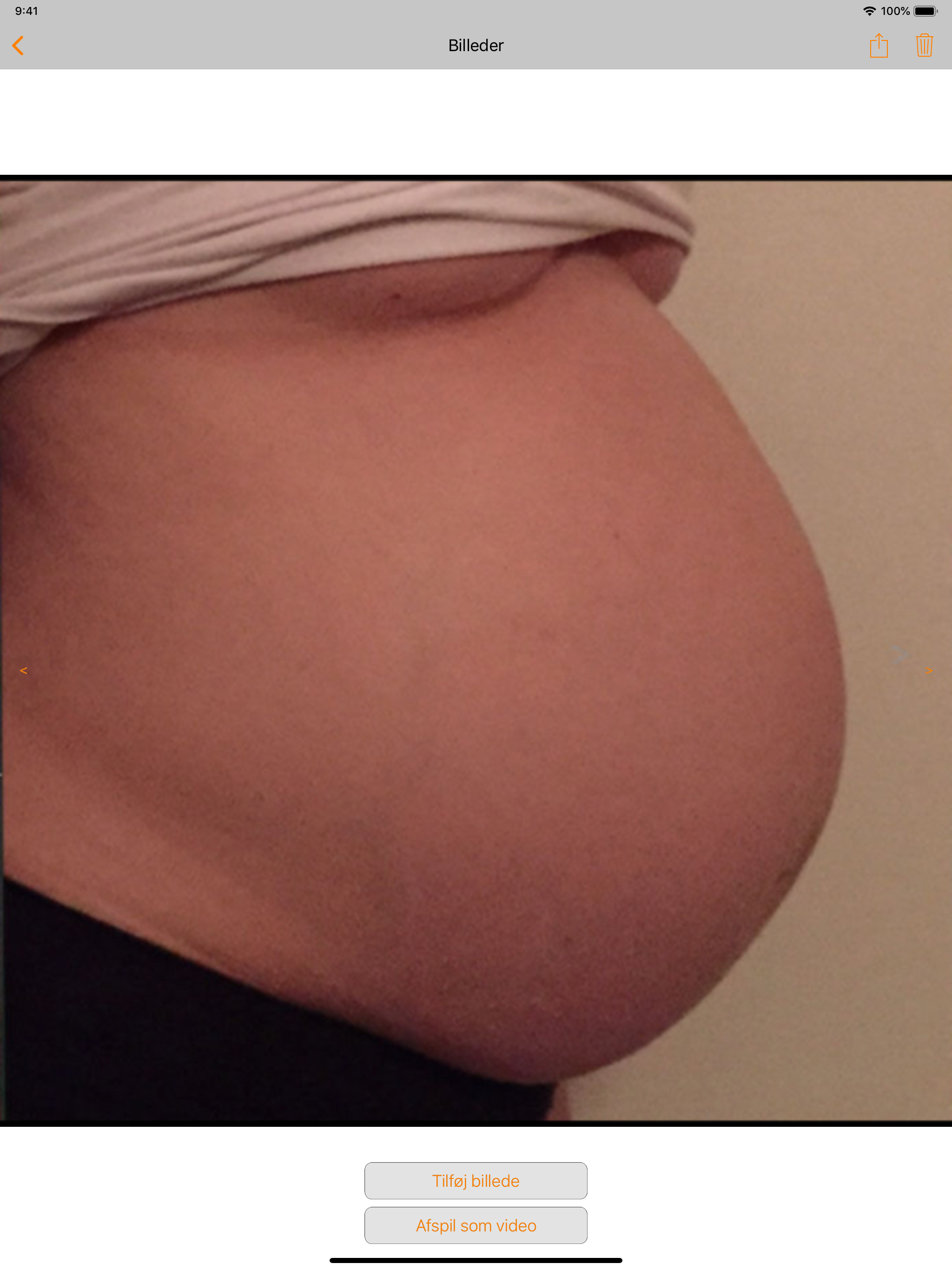 Gravid - Dag for Dag