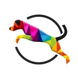 The Dog Training Company