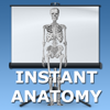 Anatomy Topics in Focus - Andrew Whitaker