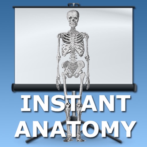 Anatomy Topics in Focus