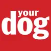 Your Dog contact information