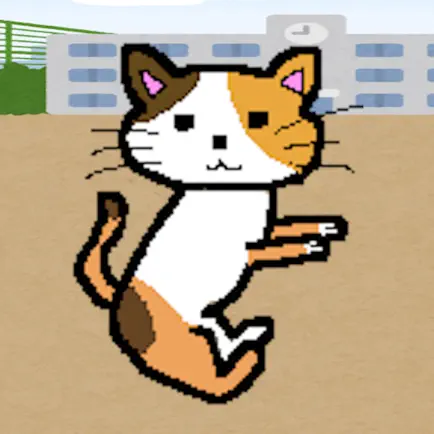FUNNY JUMPERS Читы