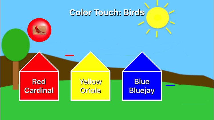 Color Touch: Birds screenshot-1