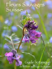 fleurs sauvages suisse finder iPad Captures Décran 1