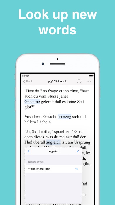 Idiom - Learn foreign language Screenshot