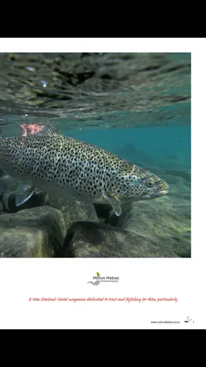 NZ Trout Fisher screenshot 3