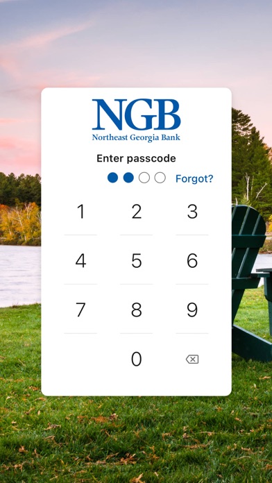 Northeast Georgia Bank Screenshot