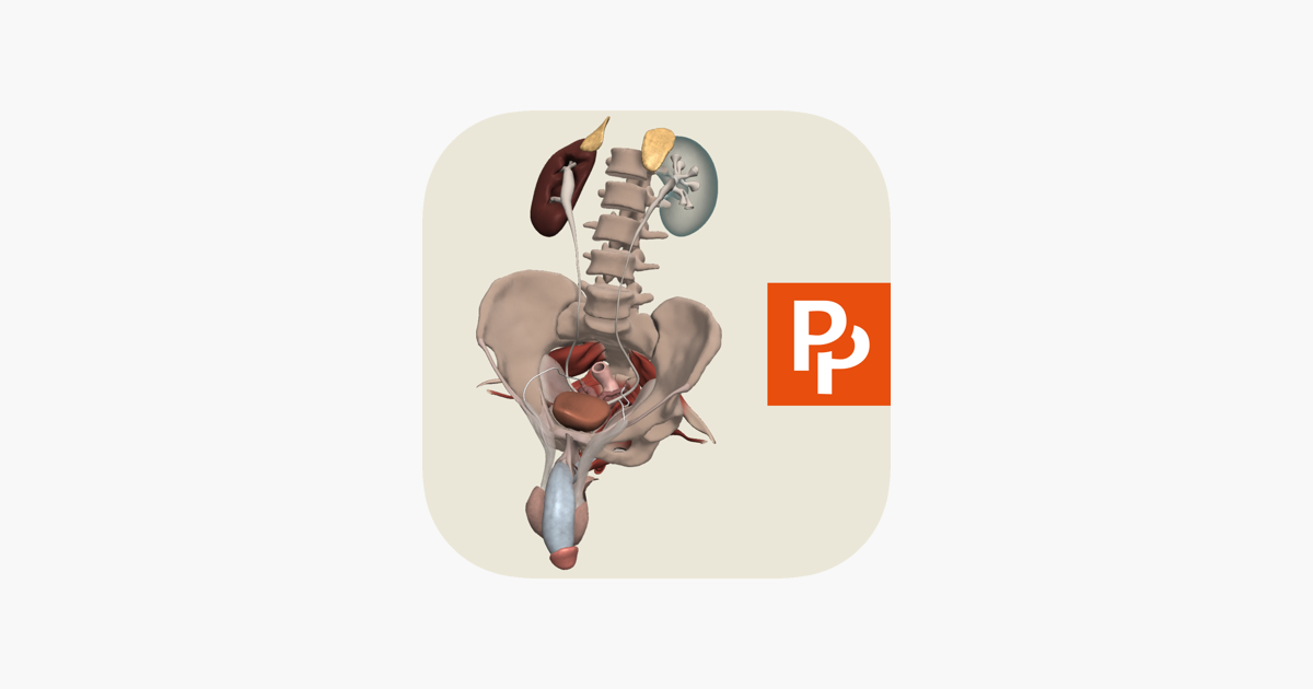 ‎Primal's 3D Male Pelvis on the App Store