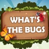 What's the bugs