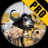 Desert Animal Shooting 18 Pro icon