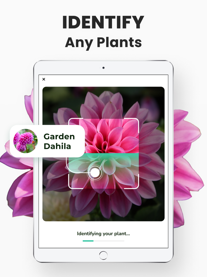 Plant Identifier - PlantMe