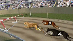 Crazy Dog Racing -Dog Games screenshot 3
