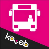 koveb D-Ticket Erfahrungen und Bewertung