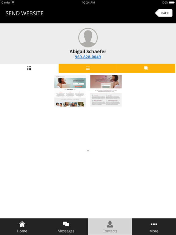 The Fearless Networker System iPad screenshot