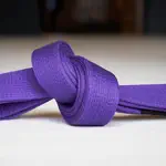 Purple Belt Requirements 2.0 App Contact