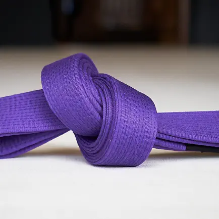 Purple Belt Requirements 2.0 Cheats