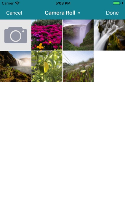 Browser Vault screenshot-8