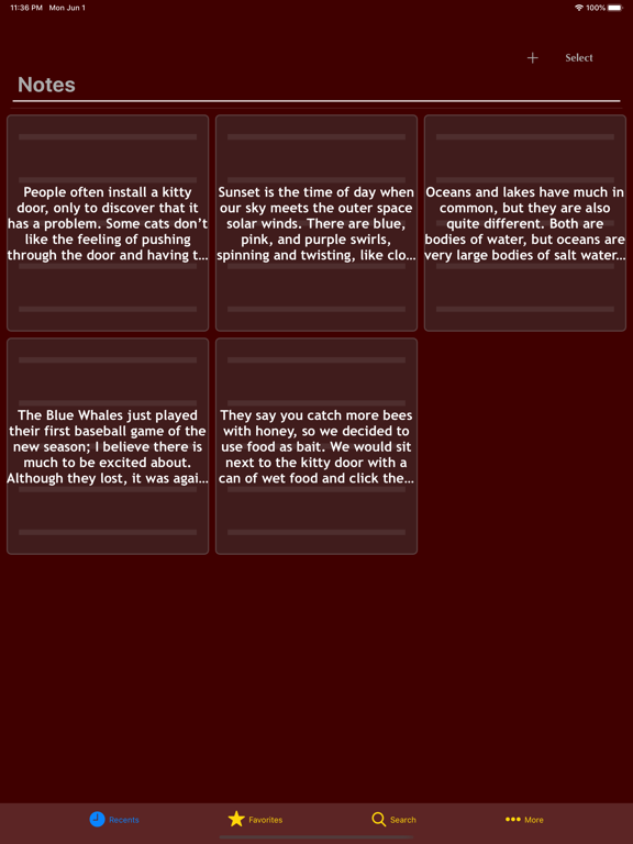 Epitomize - Write Quick Notes iPad screenshot 4 - Productivity app