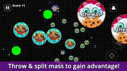 Screenshot from Agar.io