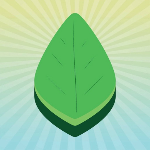 Environment Game icon