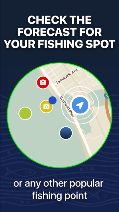 Fishing Forecast - TipTop App Screenshot