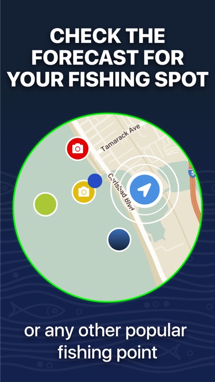 Fishing Forecast - TipTop App