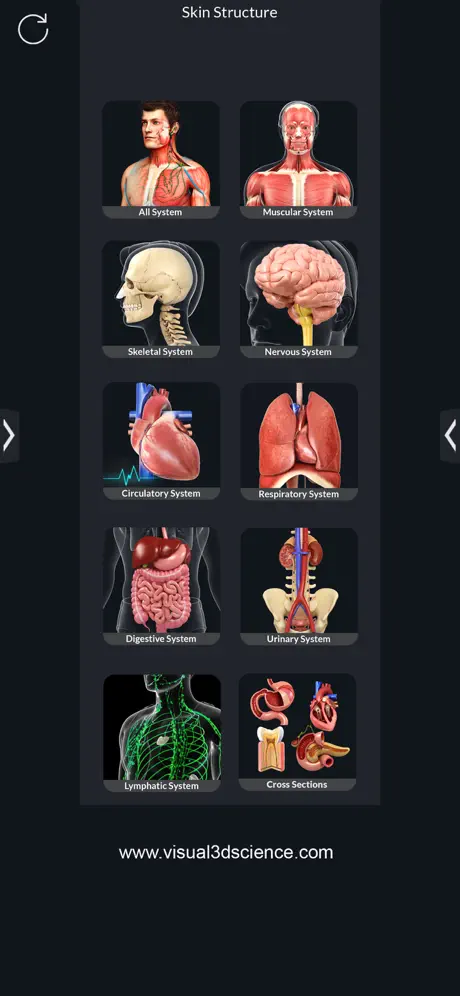 Human Anatomy