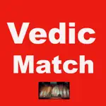 Vedic Match App Positive Reviews