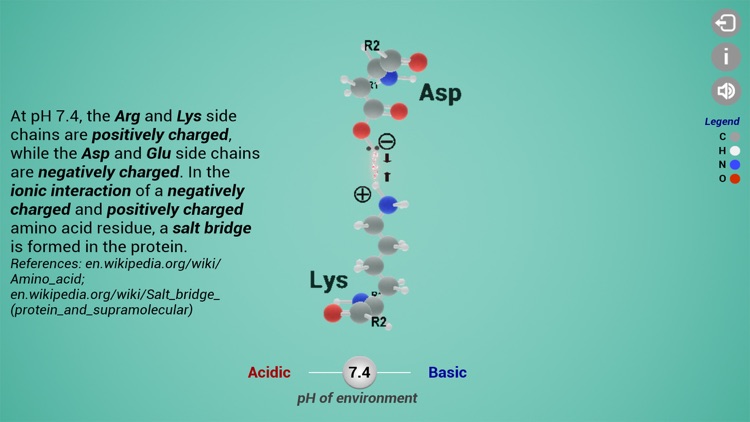 Biomolecules:Functional groups screenshot-6