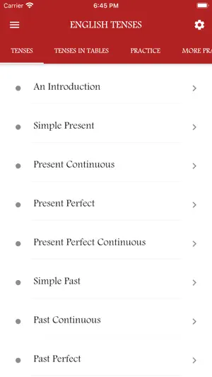 English Tenses Book screenshot 1