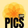 PicsLoop: AI Face Photo Editor - 健 冉