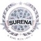 About UsSurena Pizza is based in 293 Prince of Wales Road  South Yorkshire S21fh