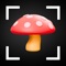 Introducing Mushroom Identification+, the ultimate app for mushroom enthusiasts