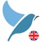 Icon Bluebird: English British