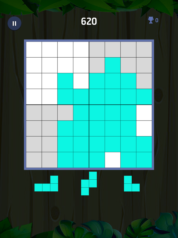Wood Sudoku Grids Block Puzzle