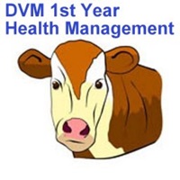 DVM 1st Year Health Management logo