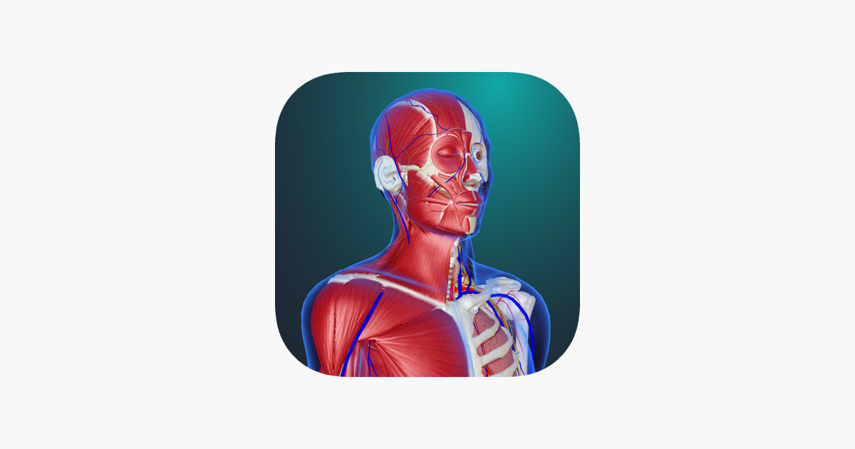 teamlabbody-pro-human-anatomy-on-the-app-store