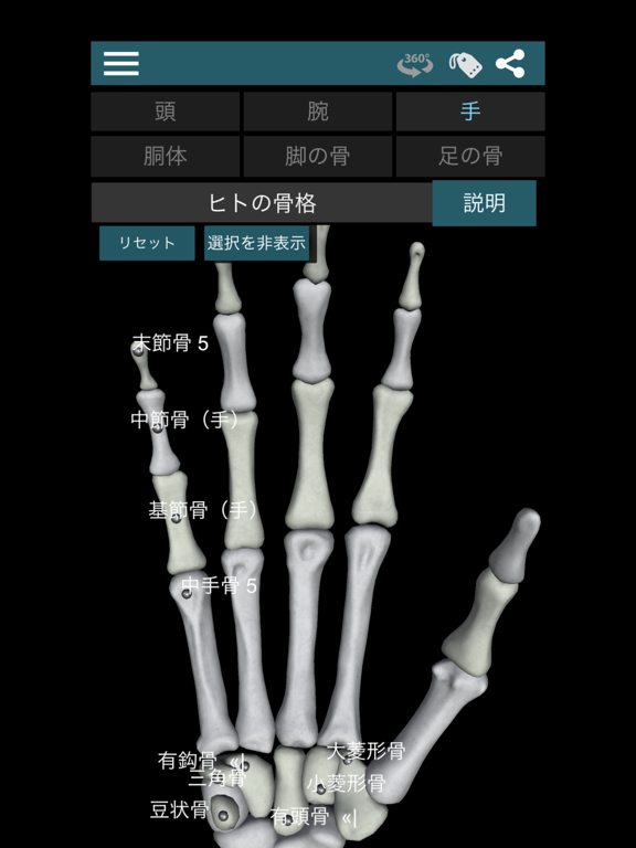 3D人骨（解剖学）のおすすめ画像3